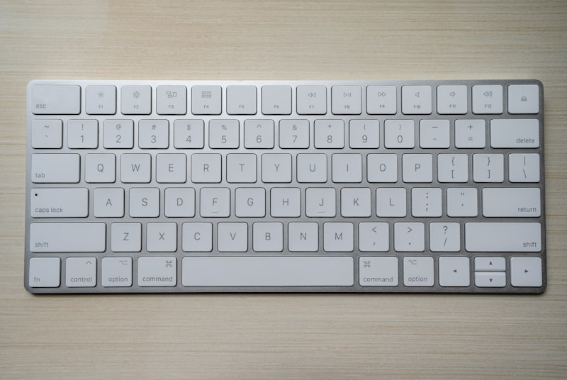 Input and Output Devices